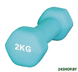 Картинка Гантели Atemi AD-01 2 кг