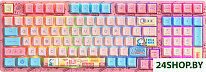 3098B Doraemon Macaron (Akko CS Jelly Blue)