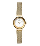 Картинка Наручные часы Skagen SKW2800