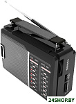 Картинка Радиоприемник Ritmix RPR-190