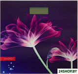 Картинка Весы напольные Energy EN-419G