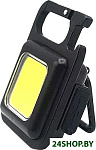 ZD100