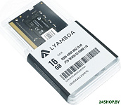 16ГБ DDR5 SODIMM 4800 МГц LRS5M48C40N1/16