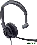Картинка Офисная гарнитура Accutone UM210 USB
