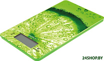 Картинка Весы Energy EN-423 (Лайм)