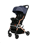 Картинка Детская прогулочная коляска Baby Tilly Smart T-169 Ink Blue