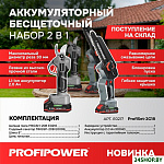 ProfiSet-2G20 E0217 (цепная пила, секатор, 2 АКБ)