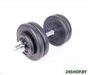 Картинка Гантель разборная Central Sport N2 24.5 кг