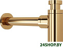 Сифон Lauter 21635G (золото)