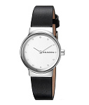 Картинка Наручные часы Skagen SKW2668