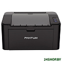 Принтер Pantum P2507