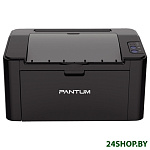 Картинка Принтер Pantum P2507