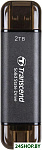 ESD310 2TB TS2TESD310C
