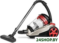CT42055