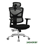 Картинка Кресло Evolution ERGO Fabric (черный)