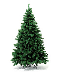 Картинка Ель Royal Christmas Dakota Reduced 1,5 м
