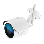 Картинка IP-камера Ginzzu HWB-2031S
