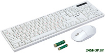KBS-6000-W