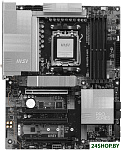 Pro X870-P WiFi