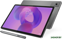 Idea Tab TB336FU Wi-Fi 8GB/256GB (серый, со стилусом)