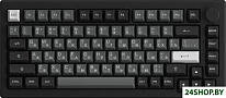 5075S Black & Sliver (Akko Cream Yellow V3 Pro)