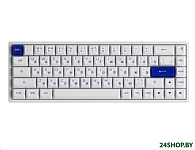Картинка Клавиатура Akko 3068B Plus White & Blue (Akko CS Jelly Pink)
