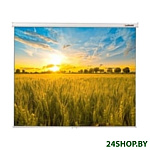 Картинка Экран Lumien Eco Picture LEP-100121