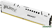 FURY Beast 16ГБ DDR5 6400 МГц KF564C32BWE-16
