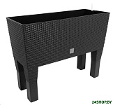 Картинка Ящик для рассады Prosperplast Rato Case High DRTC600H-S433 (антрацит)