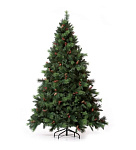 Картинка Ель Royal Christmas Phoenix 1.8 м