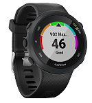 Картинка Умные часы Garmin Forerunner 45 (черный)