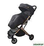 Картинка Детская прогулочная коляска Xo-kid Ride Gold Black-G