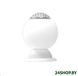 Картинка Датчик движения Ritmix SDT-200-Tuya