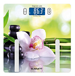 Картинка Напольные весы Scarlett SC-BS33ED10