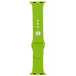Картинка Ремешок Evolution AW40-S01 для Apple Watch 38/40 мм (green)
