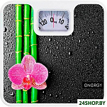 Картинка Весы напольные Energy ENM-409D (003116)