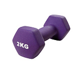 Картинка Гантели ATLAS SPORT Виниловая 2 кг (фиолетовый)