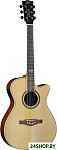 NXT A100ce Natural