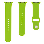 Картинка Ремешок Evolution AW44-S01 для Apple Watch 42/44 мм (green)