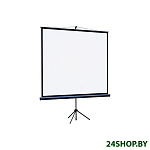Картинка Проекционный экран Lumien Eco View 128x171 LEV-100110