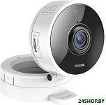Картинка IP-камера D-Link DCS-8100LH/A1A
