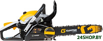 Картинка Бензопила Gunter MSH-3805