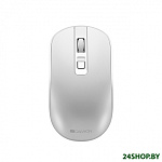 Картинка Мышь Canyon CNS-CMSW18PW