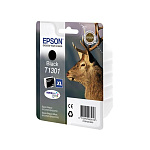 Картинка Картридж струйный EPSON C13T13014012 черный