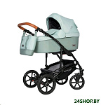 Картинка Детская универсальная коляска RIKO Basic Bella Life 3 в 1 (02/Basul)