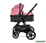 Картинка Детская универсальная коляска Lorelli (Bertoni) Lora 3 в 1 Candy Pink (10021282189)