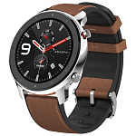 Картинка Умные часы Amazfit GTR 47мм (нержавеющая сталь)