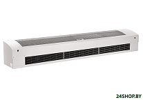 Картинка Тепловая завеса Ballu BHC-M20T12-PS