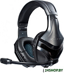 Картинка Наушники с микрофоном OKLICK HS-L370G (черный)