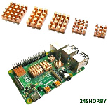 RA603